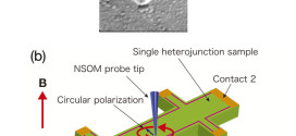 Circularly polarized near-field scanning optical microscope for investigations of edge states of a two-dimensional electron system. Advances In Engineering