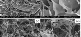 Freeze-drying of aqueous solution frozen with prebuilt pores. Advances In Engineering