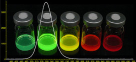 Temperature dependence fundamental excitonic resonance in lead-salt quantum dots