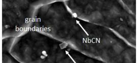 Strengthening Mechanisms in Thermomechanically Processed NbTi-Microalloyed Steel