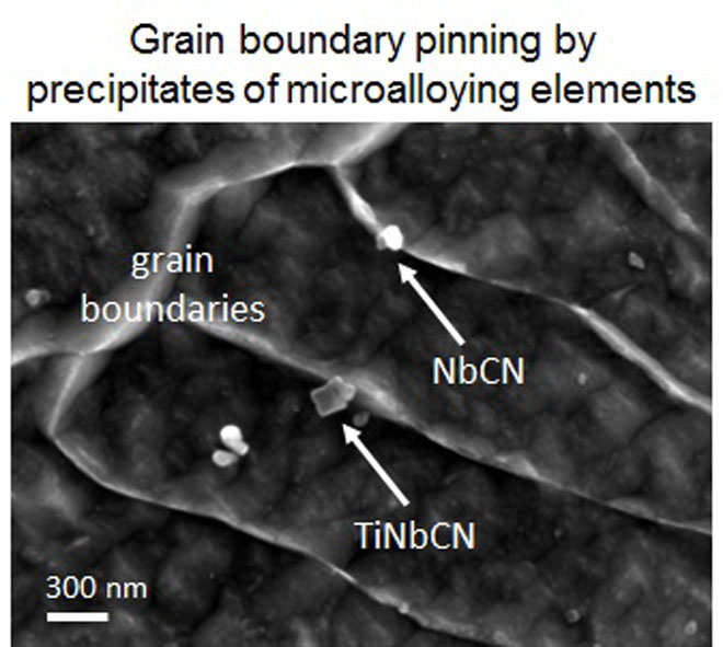 Strengthening Mechanisms in Thermomechanically Processed NbTi-Microalloyed Steel