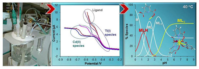 Variable temperature complexation studies of Cd(II)-dipicolinic acid revealing an endothermically formed species at 313 K