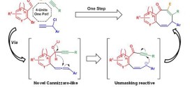 One-Pot Cannizzaro Cascade Synthesis of ortho-Fused Cycloocta-2,5-dien-1-ones from 2-Bromo(hetero)aryl Aldehydes