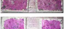 CaPrM: Carbonation prediction model for reinforced concrete using machine learning methods Advances in Engineering
