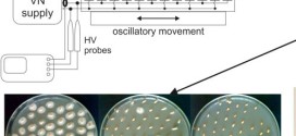 Effect of Cold Atmospheric Pressure Plasma on Wheat Seedlings Vigor and on the Inactivation of Microorganisms on the Seeds Surface- advances in engineering
