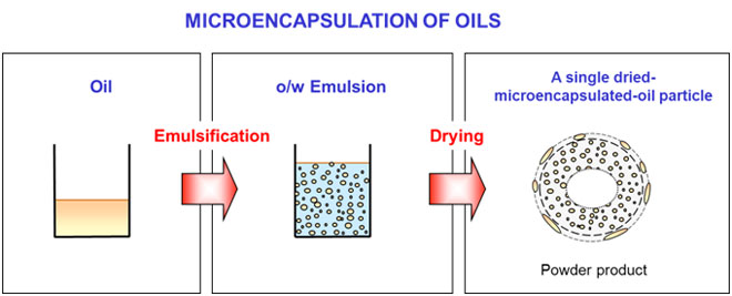 New Analytical Evidence of Discontinuous Oxidation in Dried Microencapsulated Lipids- Advances in Engineering