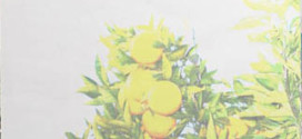 feaPaper from orange tree trimmings by environmentally friendly and energy-saving processes-advances in engineering