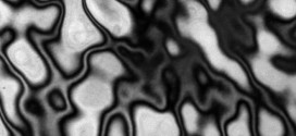 Structural, magneto-mechanical, and damping properties of slowly-cooled polycrystalline Fe81Ga19 alloy - Advances in Engineering