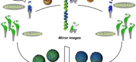 featured: Chiral Nanostructures from Helical Copolymer-Metal Complexes-Advances in Engineering