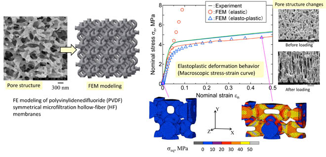 Deformation modeling of polyvinylidenedifluoride (PVDF) symmetrical microfiltration hollow-fiber (HF) membrane. Advances in Engineering