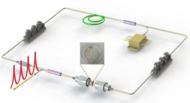 Q-switched fiber laser based on transition metal dichalcogenides MoS2, MoSe2, WS2, and WSe2. Advances in Engineering