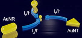 Visually monitoring etching process of gold nanoparticles by KI/I2 at single-nanoparticle level using scattered-light dark-field microscopic imaging, Advances in Engineering
