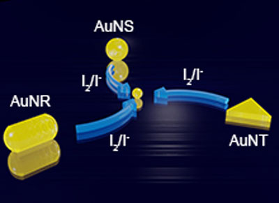 Visually monitoring the etching process of gold nanoparticles by KI/I2 at single-nanoparticle level using scattered-light dark-field microscopic imaging, Advances in Engineering