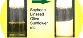 Synthesis and Free Radical Copolymerization of a Vinyl Monomer from Soybean Oil.Advances in Engineering