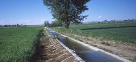Effect of Hedging-Integrated Rule Curves on the Performance of the Pong Reservoir (India) During Scenario-Neutral Climate Change Perturbations-advances in engineering