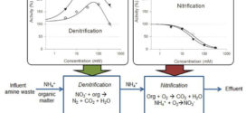 Inhibition factors in biofilm N removal systems treating wastes generated by amine based CO2 capture. Advances in Engineering