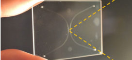 Soft Matter-Regulated Active Nanovalves Locally Self-Assembled in Femtoliter Nanofluidic Channels- Advances in Engineering