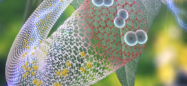 Controlling Active Sites Sulfur-Doped Carbon Nanotube-Graphene Nanolobes for Highly Efficient Oxygen Evolution and Reduction Catalysis (Advances in Engineering)