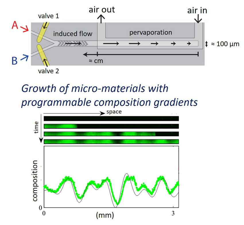 Fabrication of microscale materials with programmable composition gradients.. Advances in Engineering