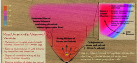 Multicomponent Solvent Co-injection with Steam in Heavy and Extra-Heavy Oil Reservoirs. Advances in Engineering