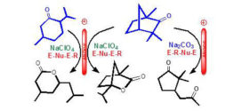 One-pot anodic lactonization of Fenchone and Menthone and electrosynthesis of a new magnolione analogue. Advances in Engineering