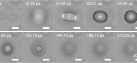 Focal Plane Shift Imaging for the Analysis of Dynamic Wetting Processes. Advances in Engineering