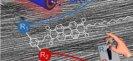 Highly Fluorescent Nanotubes with Tunable Diameter and Wall Thickness Self-Assembled from Asymmetric Perylene Diimides (Advances in Engineering)