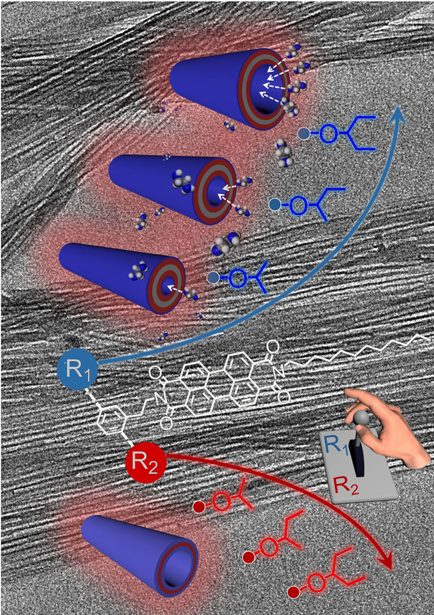 Highly Fluorescent Nanotubes with Tunable Diameter and Wall Thickness Self-Assembled from Asymmetric Perylene Diimides.. Advances in Engineering