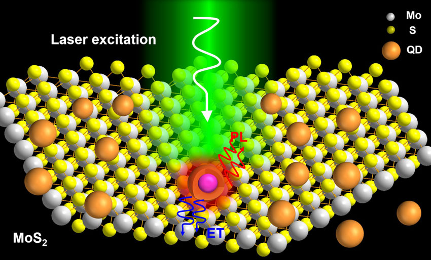 Temperature-dependent resonance energy transfer from CdSe–ZnS core–shell quantum dots to monolayer MoS2. Advances in Engineering