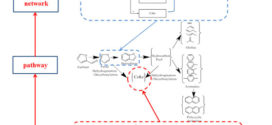 An experimental and kinetic modeling study including coke formation for catalytic pyrolysis of furfural. Advances in Engineering