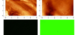 Development of a Versatile Procedure for the Biofunctionalization of Ti-6Al-4V Implants - Advances in Engineering