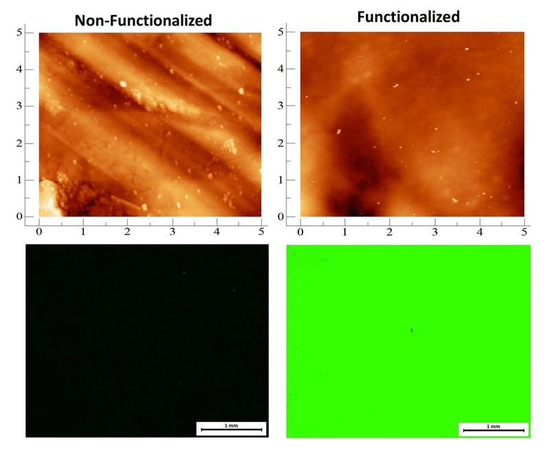 Versatile Procedure for Biofunctionalization of Ti-6Al-4V Implants - Advances in Engineering