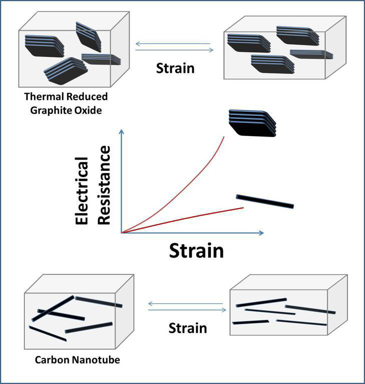 Elastomeric Ethylene Copolymers with Carbon Nanostructures Having