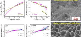 Fabrication of High Expansion Microcellular Injection-Molded Polypropylene Foams by Adding Long-Chain Branches Advance in Engineering