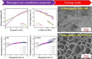 Fabrication of High Expansion Microcellular Injection-Molded Polypropylene Foams by Adding Long-Chain Branches Advance in Engineering