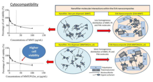Pre-Dispersed Organo-Montmorillonite Nano Filler Morphology, Cytocompatibility and Impact on Flexibility, Toughness and Biostability of Biomedical Ethyl Vinyl Acetate Copolymer - Advances in Enginering