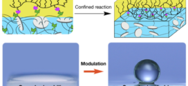 Superhydrophobic Diffusion Barriers for Hydrogels via Confined Interfacial Modification - Advance in Engineering