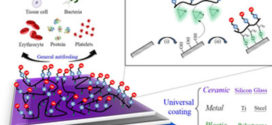 epoxylated sulfobetaine copolymers for the development of stealth biomaterial interfaces (Advances in Engineering)