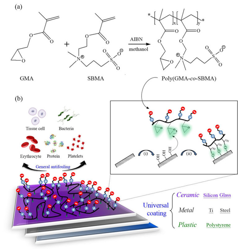 Zwitterionic surface grafting of epoxylated sulfobetaine copolymers for ...