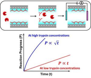 Label-Free Electrical Detection of Enzymatic Reactions in Nanochannels - Advances in Engingeering