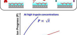 Label-Free Electrical Detection of Enzymatic Reactions in Nanochannels-advances in engineering