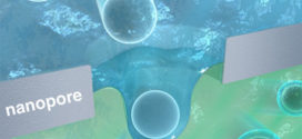 Nanopore Sensing in Aqueous Two-Phase System (Advances in Engineering)