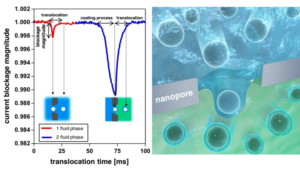 Nanopore Sensing in Aqueous Two-Phase System Simultaneous Enhancement of Signal and Translocation Time via Conformal Coating - Advances in Engineering