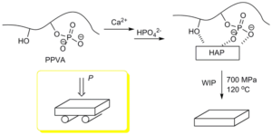 Crystallization of Hydroxyapatite in Phosphorylated Poly (Vinyl Alcohol) as a Synthetic Route to Tough Mechanical Hybrid Materials s1 - Advances in Engineering