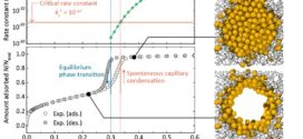 Mechanism of Kinetically Controlled Capillary Condensation in Nanopores A Combined Experimental and Monte Carlo Approach - Advances in Engineering