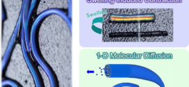 Supramolecular hydrogels with multi-cylindrical lamellar bilayers Swelling-induced contraction and anisotropic molecular diffusion - advances in engineering