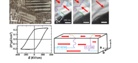 The First Room-Temperature Ferroelectric Sn Insulator and Its Polarization Switching Kinetics - advances in engineering