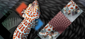 Thermally Active Liquid Crystal Network Gripper Mimicking the Self-Peeling of Gecko Toe Pads - Advances in Engineering