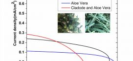Dye-sensitized solar cells using Aloe Vera and Cladode of Cactus extracts as natural sensitizers - advances in engineering