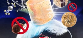ultra-light antibacterial bagasse-AgNP aerogel (Advances in Engineering)